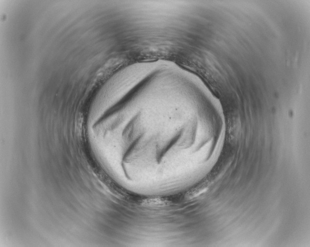 X0000087030231200705141930