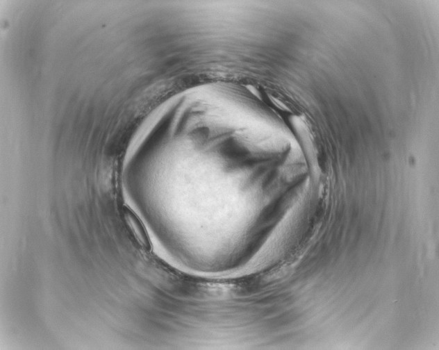 X0000087030233200705141930