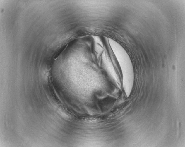 X0000087030235200705141930