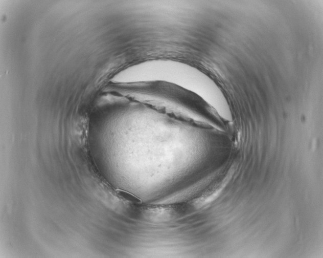 X0000087030237200705141930