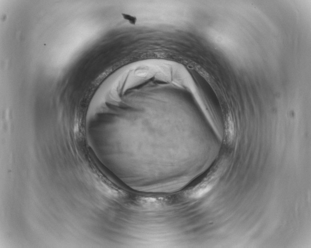 X0000087030239200705141930