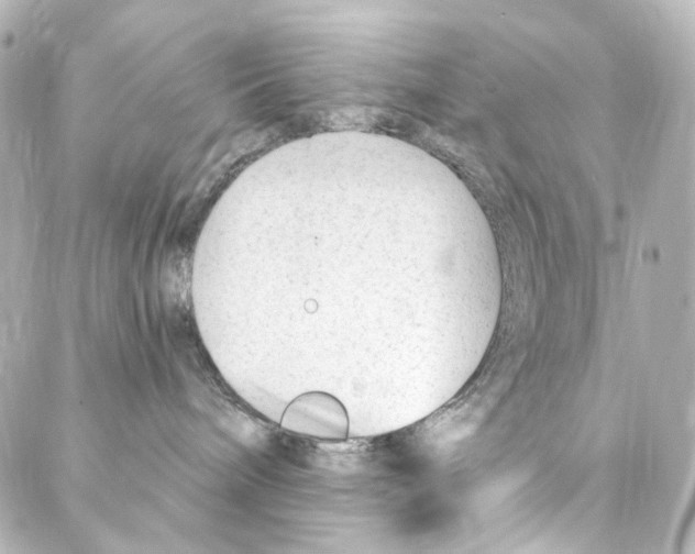 X0000087030240200705141930