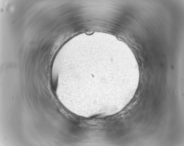 X0000087030241200705141929