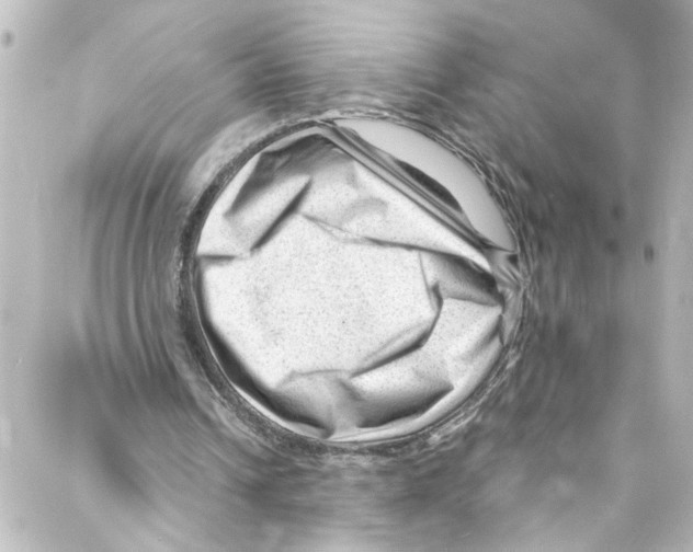 X0000087030242200705141929