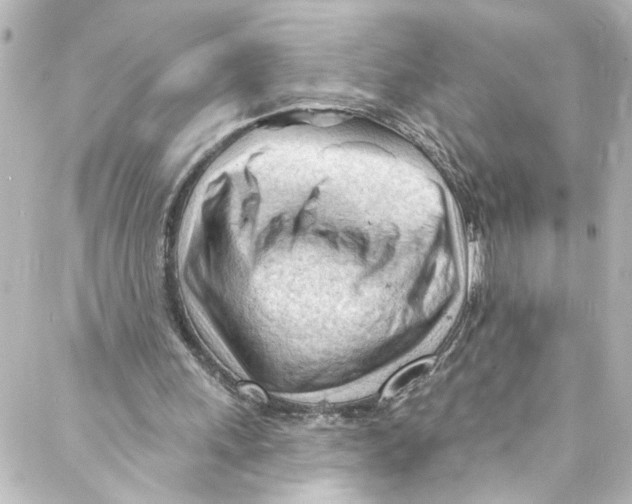 X0000087030243200705141929