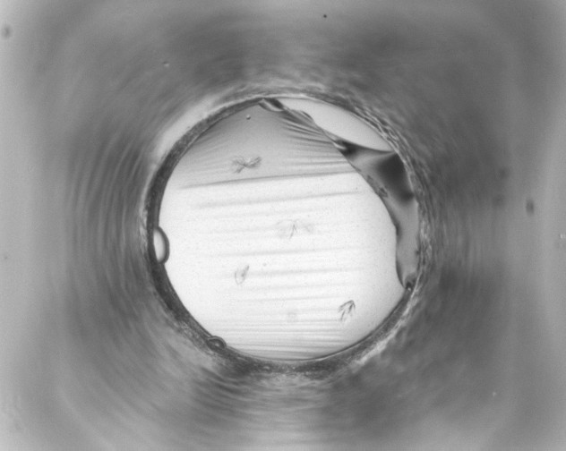 X0000087030246200705141929