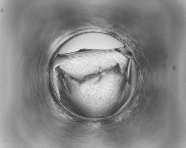 X0000087030247200705141929