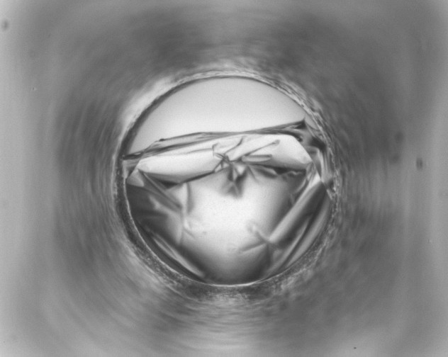 X0000087030248200705141929