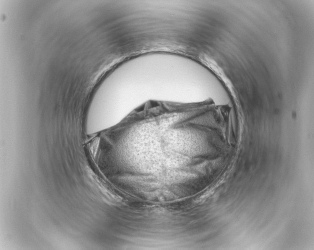 X0000087030249200705141929