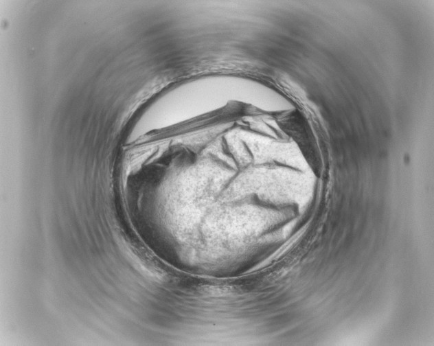 X0000087030250200705141929