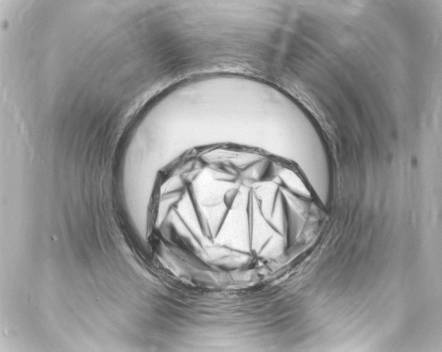 X0000087030252200705141929