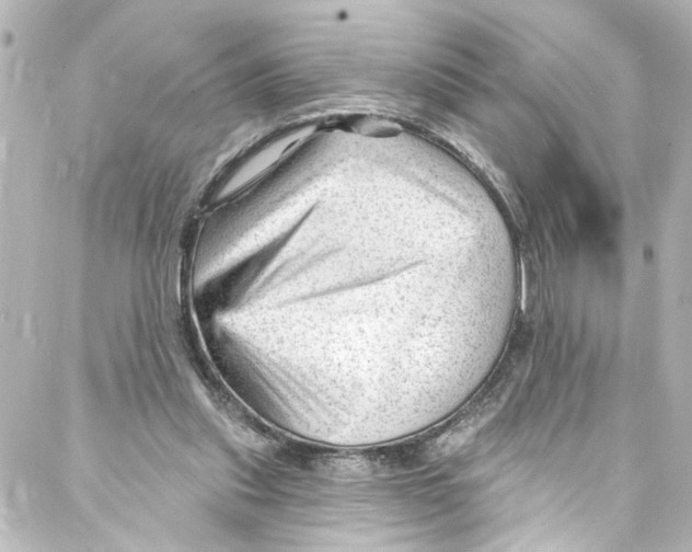 X0000087030253200705141929