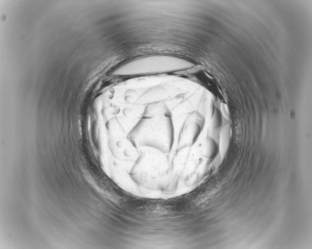 X0000087030254200705141929