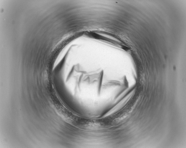 X0000087030256200705141929