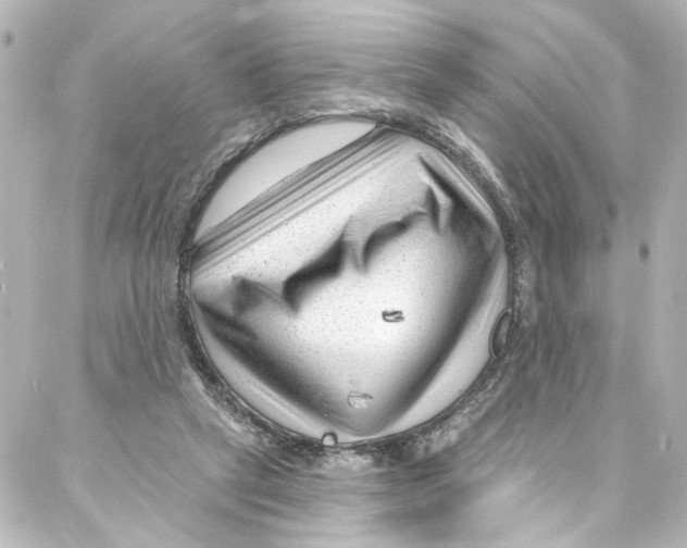 X0000087030257200705141929