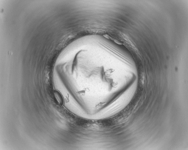 X0000087030259200705141929