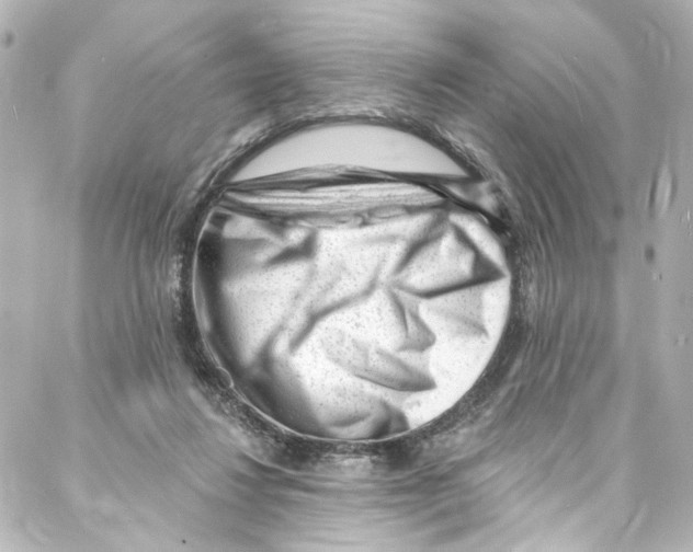 X0000087030260200705141929