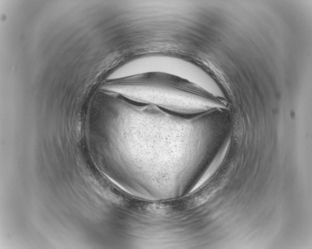 X0000087030261200705141929