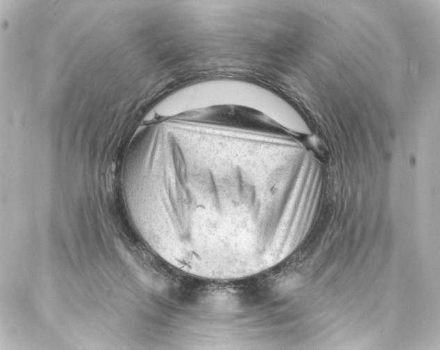 X0000087030263200705141929