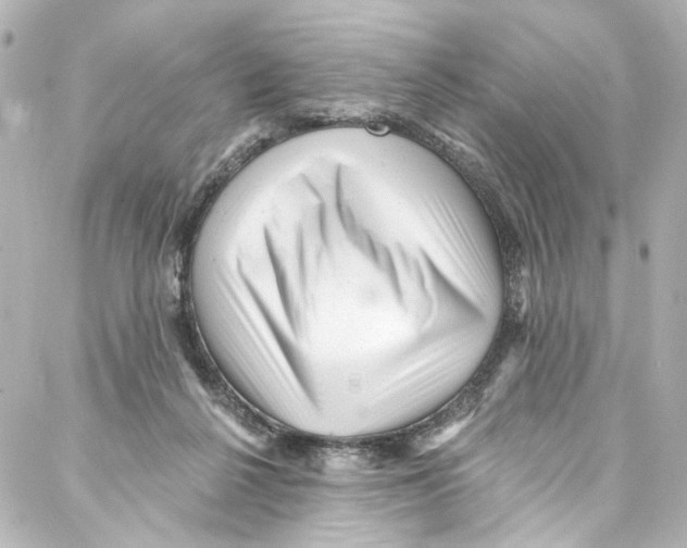 X0000087030264200705141929