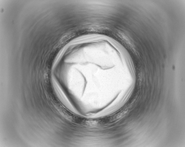 X0000087030265200705141929