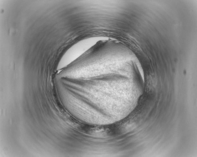 X0000087030267200705141929