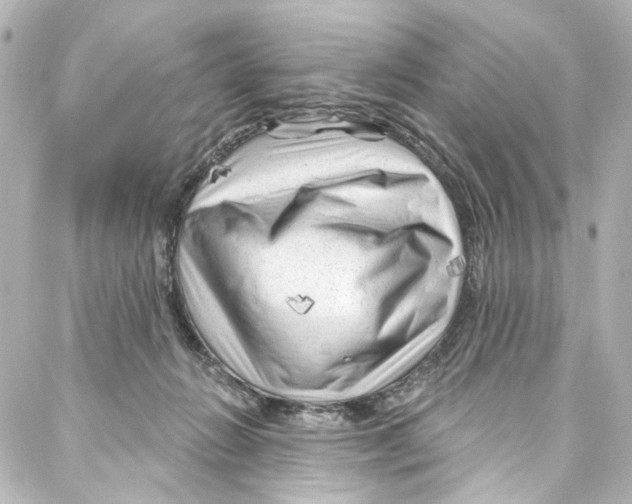 X0000087030270200705141929