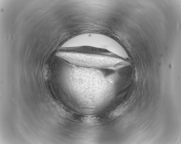 X0000087030273200705141929