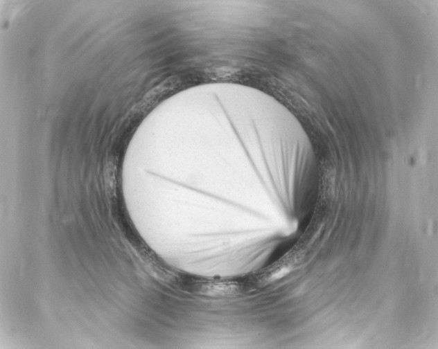 X0000087030274200705141929