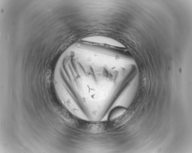 X0000087030275200705141929