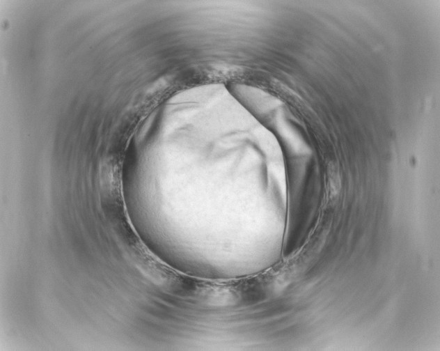 X0000087030276200705141929