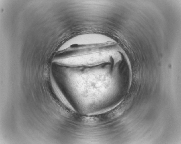 X0000087030277200705141930