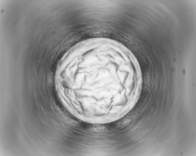 X0000087030278200705141930