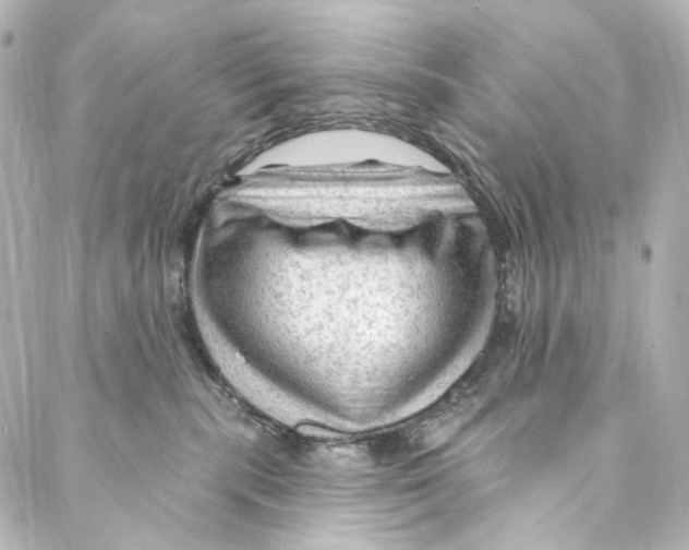 X0000087030283200705141930