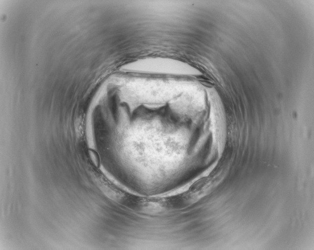 X0000087030285200705141930