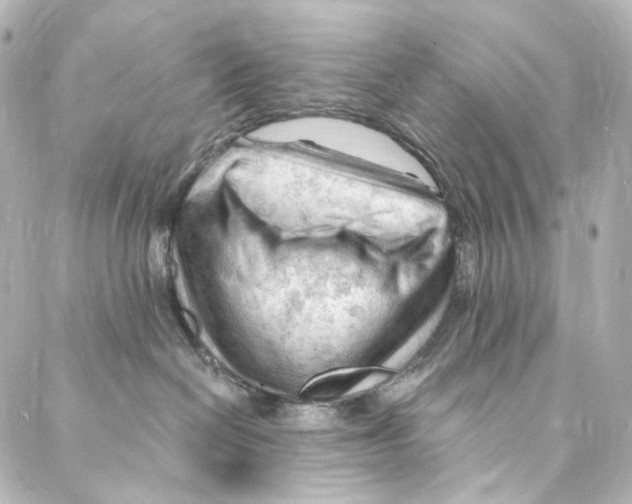 X0000087030286200705141930