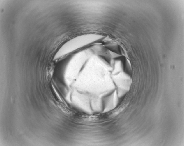 X0000087030288200705141930