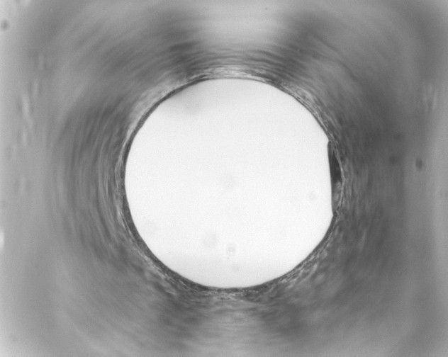 X0000087030289200705141929