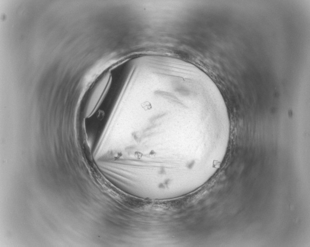 X0000087030294200705141929