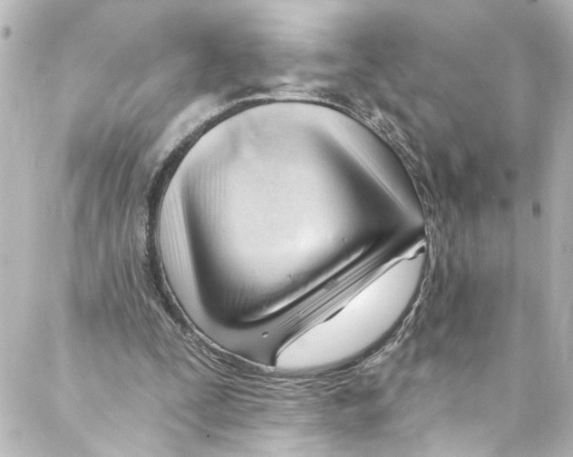 X0000087030295200705141929