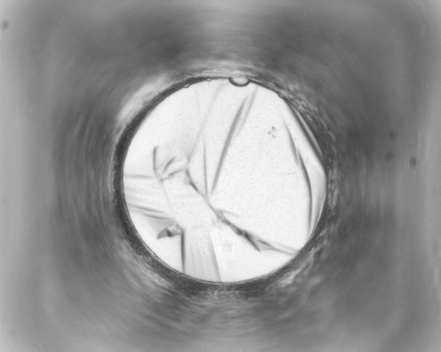 X0000087030296200705141929