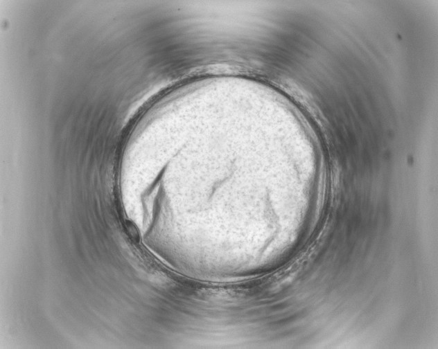 X0000087030297200705141929