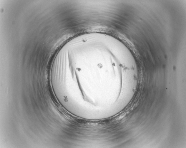 X0000087030298200705141929