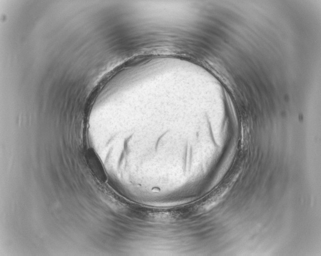 X0000087030301200705141929