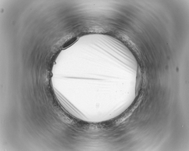 X0000087030305200705141929