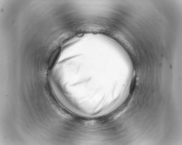 X0000087030309200705141929