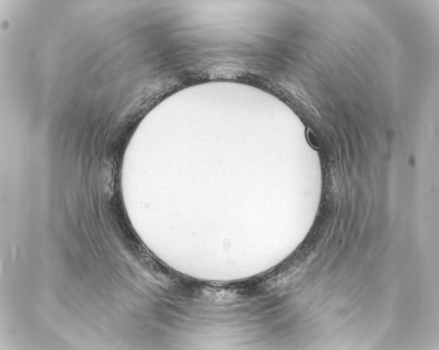 X0000087030311200705141929