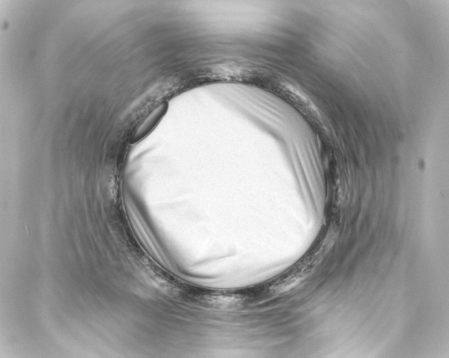 X0000087030313200705141929