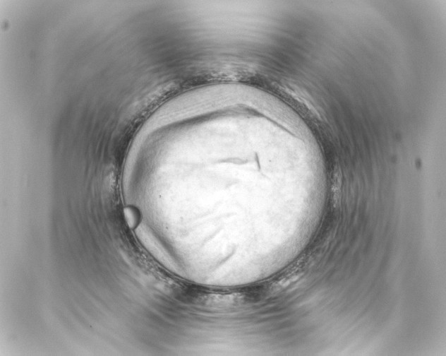 X0000087030314200705141928