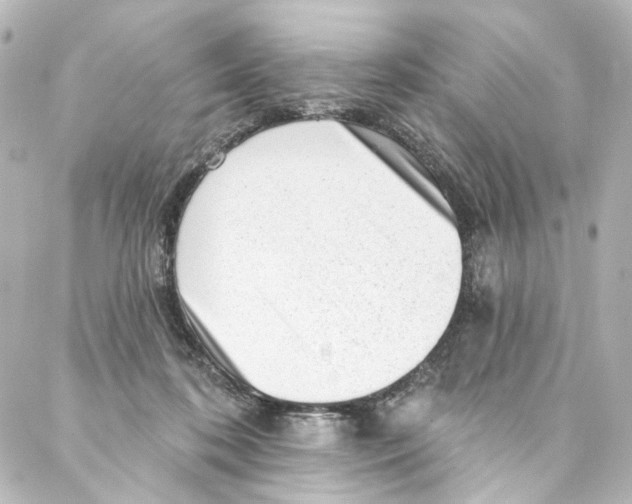 X0000087030316200705141928